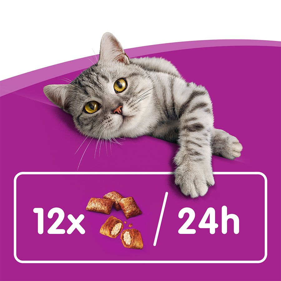 Anti hairball whiskas shop